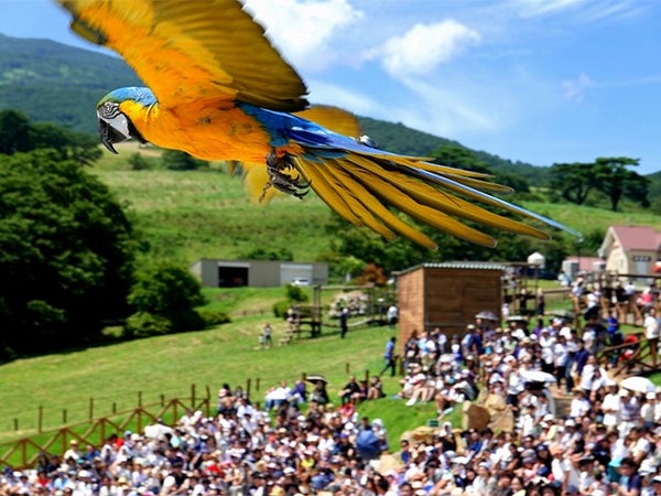 ■【新宿発着】 那須どうぶつ王国 日帰りバスツアー【王国パスポート付】〈滞在約5時間30分〉2